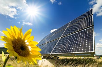 Solarzellen auf Feld mit Sonnenblume vor blauem Himmel